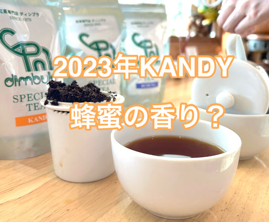 【紅茶専門店ディンブラ】新茶2023年KANDY(キャンディ)はなんと!蜂蜜の香り