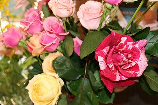 休日いかがお過ごしですか・・・ゆっくり温かい紅茶を!