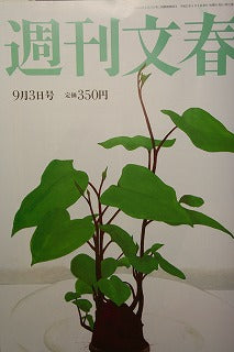 今日発売の週刊文春・・・巻末で紅茶とチョコの紹介