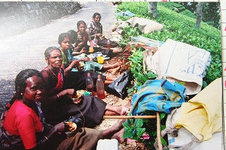 明日は・・・サンデーティータイム!