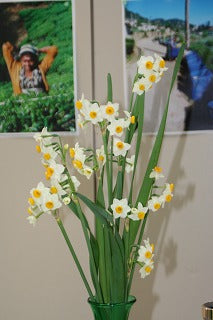 2011年・本日から営業いたします・・・宜しくお願いいたします