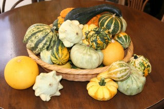 紅茶食品研究科 V-クラス