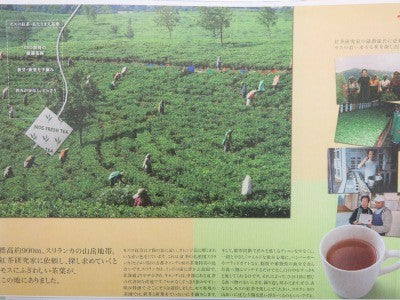 モスバーガーの紅茶トレイマット