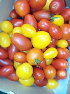 夏野菜たくさん!!