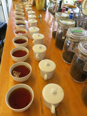 秋の新茶・・・本日入庫!