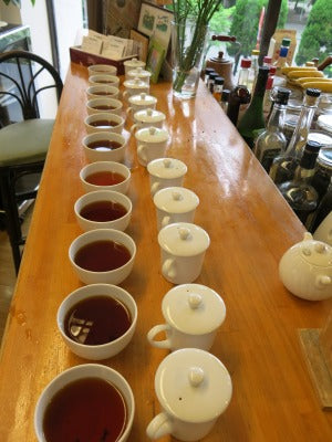 スリランカ茶園視察・・・5