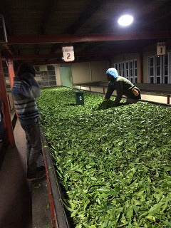 スリランカ紅茶研修・No.4