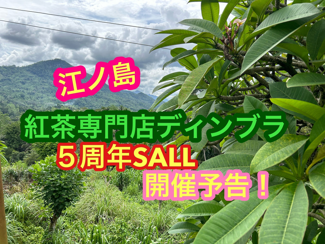 価格改定と【紅茶専門店ディンブラ】江ノ島5周年記念茶葉セールのお知らせです