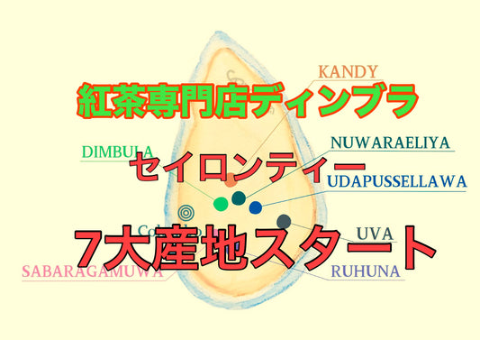 【紅茶専門店ディンブラ】セイロンティー７大産地の紅茶