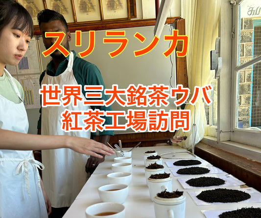 【スリランカ】世界三大銘茶のウバ（UVA）紅茶工場訪問と買い付け
