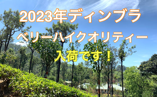 【紅茶専門店ディンブラ】2023年ベリーハイクオリティーディンブラ&ヌワラエリヤ入荷しました!