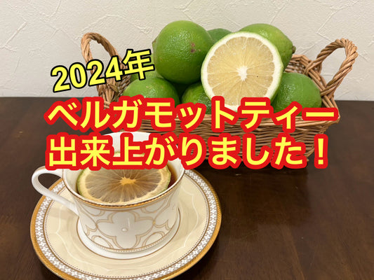 【紅茶専門店ディンブラ】2024年国産ベルガモットティー出来上がりました!
