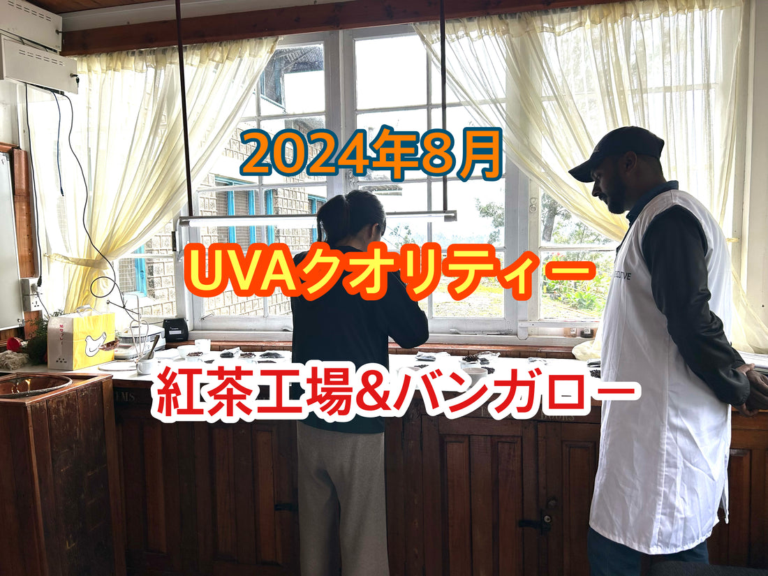 2024年8月世界三大銘茶の1つウバクオリティシーズンに紅茶工場を訪れて