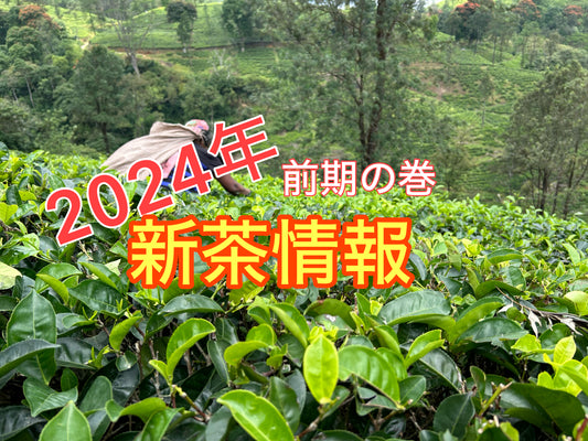 【紅茶専門店ディンブラ】2024年新茶新着情報(前期)