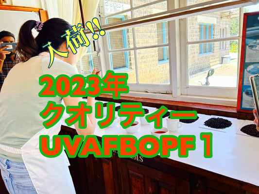 【紅茶専門店ディンブラ】２０２３年クオリティーUVA （ウバ）FBOPF1入荷しました