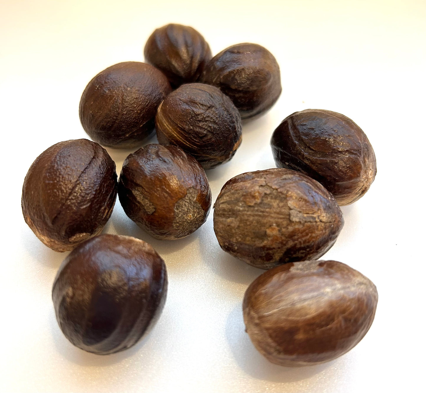 【紅茶専門店ディンブラ】ドライナツメグ ホール オーガニック