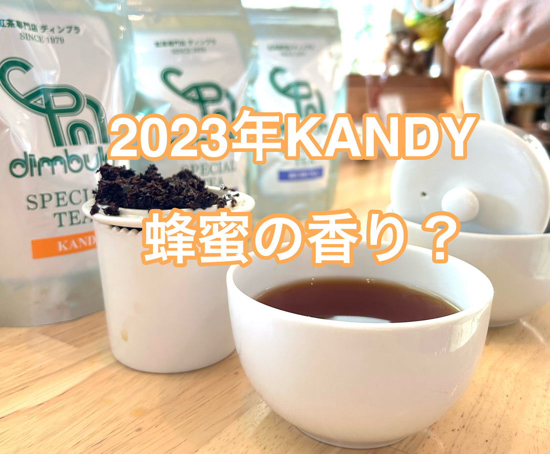 【紅茶専門店ディンブラ】新茶２０２３年KANDY（キャンディ）はなんと！蜂蜜の香り