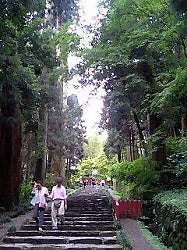 夏の思い出