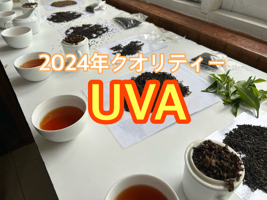 2024年ウバUVAクオリティーのサンプル最高！