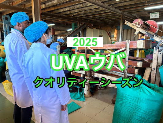 UVAクオリティーシーズン２０２５年買い付け終わりました