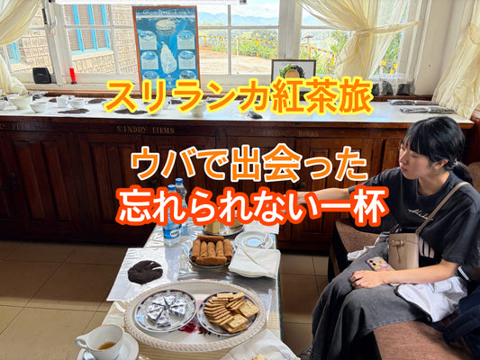 【スリランカ紅茶旅】ウバの山奥で出会った、忘れられない一杯
